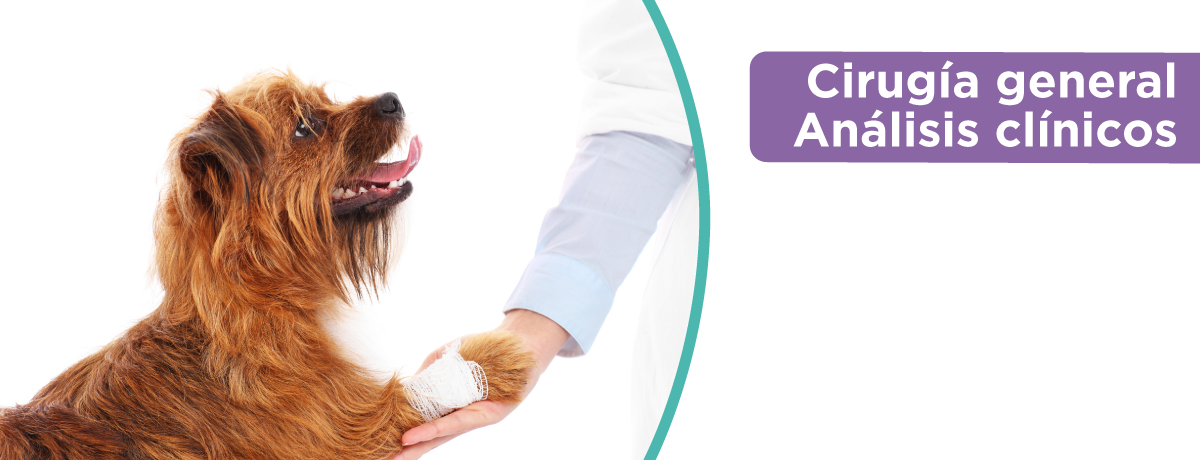Cirugía general y análisis clínicos